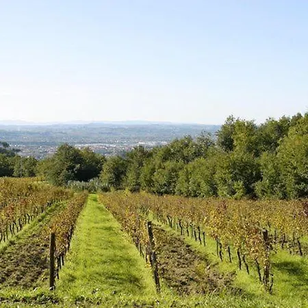 Apartament Ambrogiana Sleeps 6 Montelupo Fiorentino