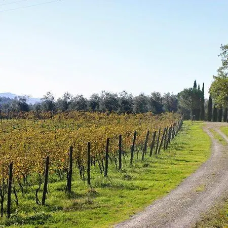 Apartament Ambrogiana Sleeps 6